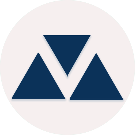 VNorm Second Logo